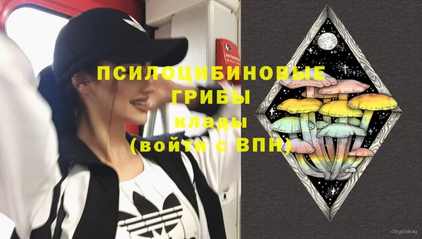 первитин Армянск