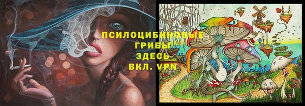 гашик Яровое