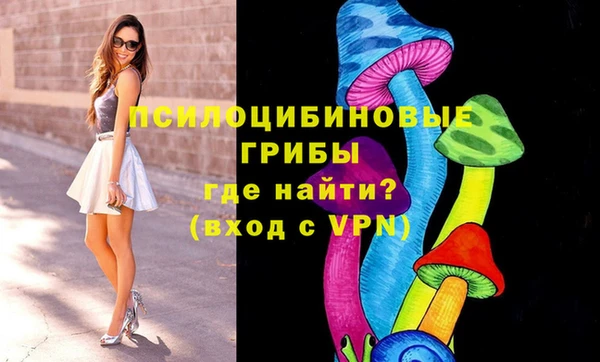 первитин Армянск